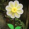 In the Breeze 2686 - 13 Inch White Daisy Flower Spinner- Colorful Spinner for your Yard and Garden